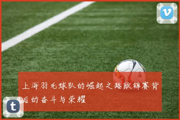 上海羽毛球队的崛起之路欧锦赛背后的奋斗与荣耀