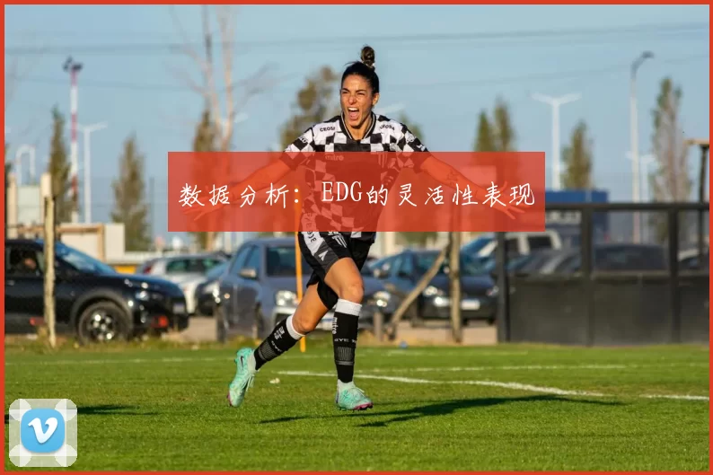 数据分析：EDG的灵活性表现