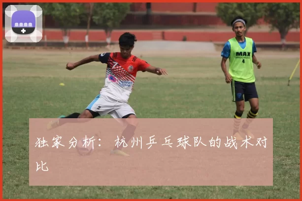 独家分析：杭州乒乓球队的战术对比