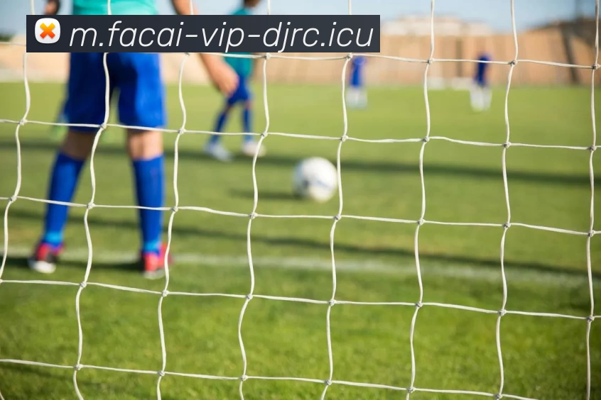 乐鱼体育注册平台生态图